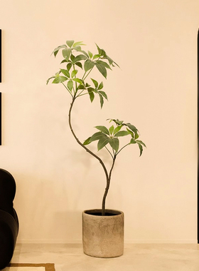 仿真绿植大叶伞室内仿生植物假树