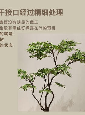 仿真绿植造景假树橱窗景观植物