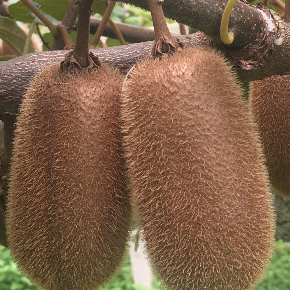 图 4