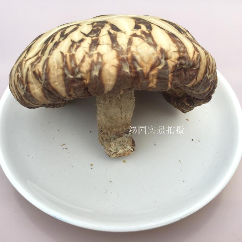 河南特产 泌阳大花菇干货干香菇冬蘑菇肉厚农家一斤500g包邮批 - 图1