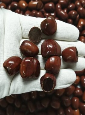 10个 果壳风铃  手工DIY果壳豆荚娃娃饰品配件原材料纯天然果实壳