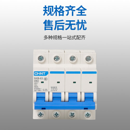 正泰昆仑D型动力NXB-125 NXB-40 NXB-63 1P 2P3P4P 小型断路器DZ4 - 图2
