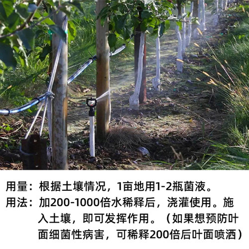 微生物菌剂土壤改良剂土质调理剂改善板结盆栽花卉多肉菌肥松土剂-图1