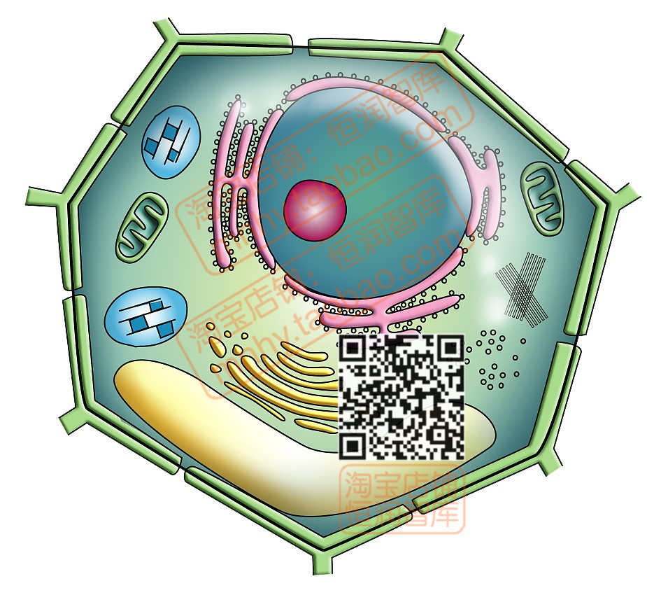 科研绘图3D模型素材教程医学细菌生物细胞分子max仪器图片三维-图1