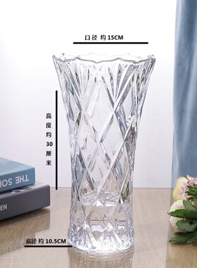 加厚玻璃简约风插花器桌面装饰