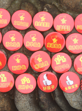 30个小学生儿童胸章奖励胸针学习之星班干部胸牌徽章开学礼物奖品
