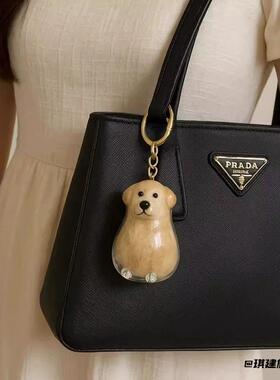 防尘雪纳瑞狗毛收集吊坠哈士奇纪念毛存放挂饰钥匙扣包吊坠收纳