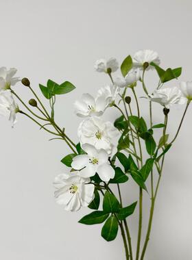 清新田园小花手捧花设计花材生动