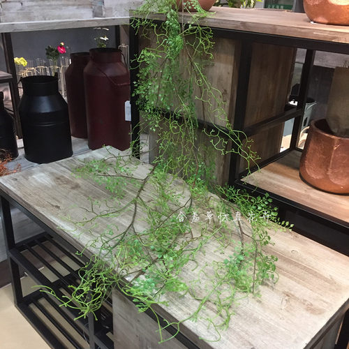 仿真蕨类植物藤蔓铁线蕨软藤黑芒藤植物缠绕绿植家居装饰工程搭配 - 图0