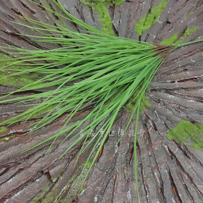 清新仿真绿植大把束细叶塑料水草装饰绿草插花造景配草假植物-图1