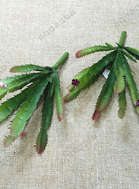 【新品】仿真沙漠植毛客厅假花