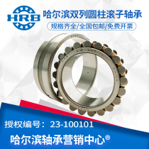 hrb Harbin double-row cylindrical roller bearing NN3006 3007 3008 3009 3010 3011P5P4