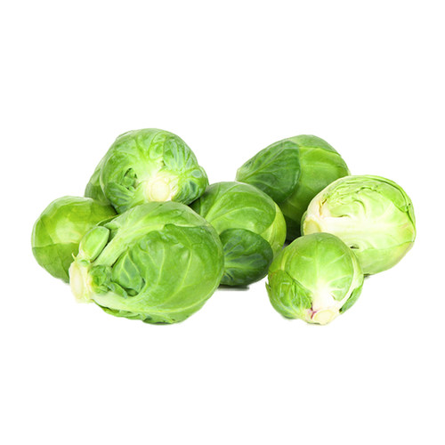 孢子甘蓝菜种子种苗特色菜夏季四季播特蔬菜种籽耐热秋季抱子青菜 - 图3