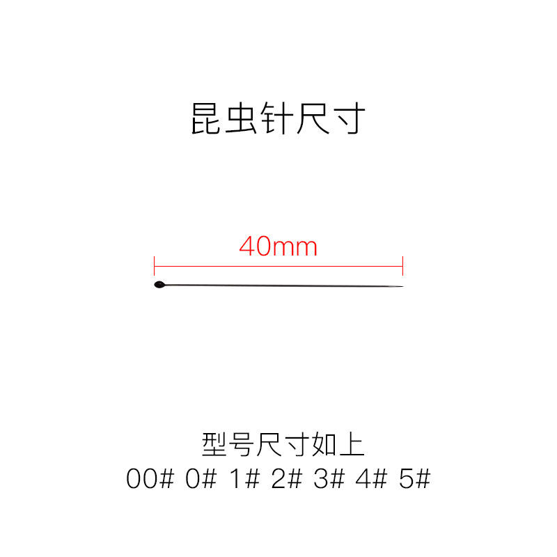 昆虫标本针00/0/1/2/3/4/5号展翅版整姿版针不锈钢针插针制作工具,淘宝优惠券,粉丝福利购,淘宝优惠卷