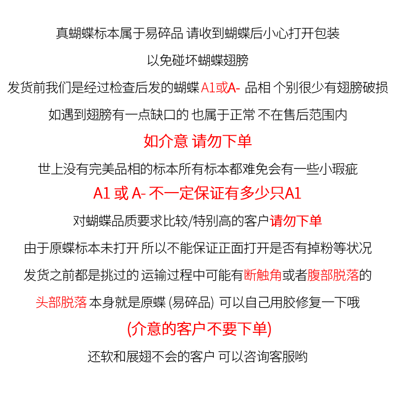 真蝴蝶原蝶碧凤蝶未展翅蝴蝶标本制作diy研学手工材料A1/A-品质 - 图0