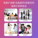 Desheng DA10 портативные громкоговорителя для учителей в классе с особой речью на микробиле Bluetooth Wireless Karaoke Microphone