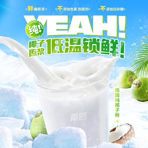 南国食品海南纯椰子粉320g/袋椰子原浆粉生椰肉磨粉天然粉粉冲调 - 图2