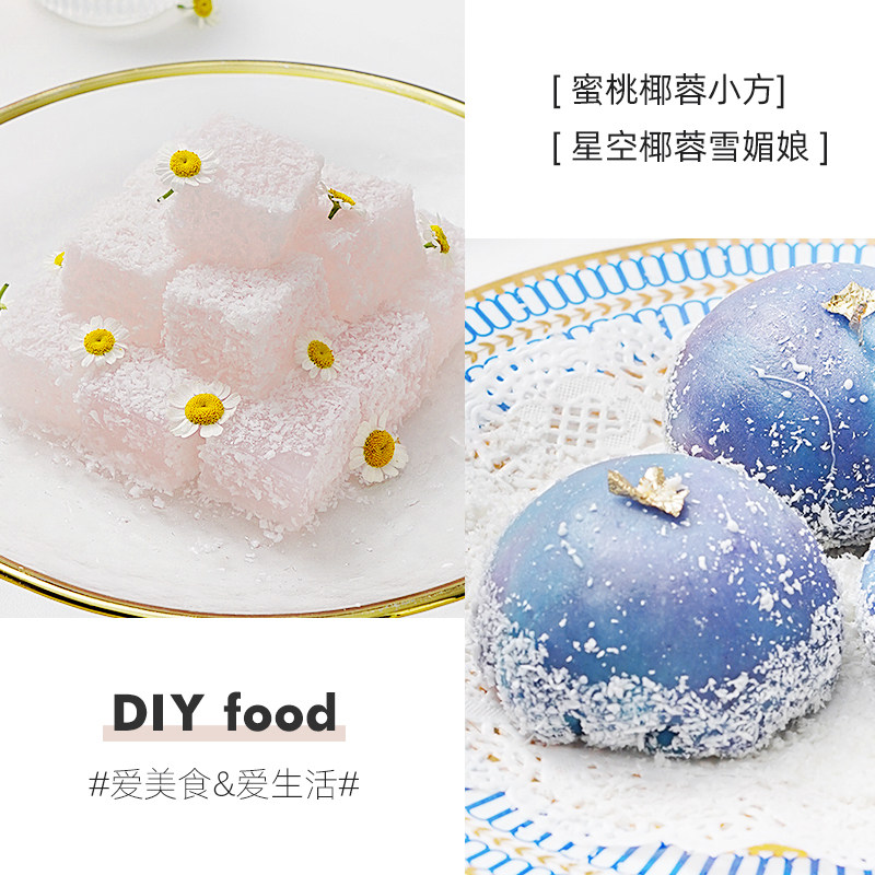 展艺椰蓉椰丝500g椰蓉粉椰奶糯米糍面包饼干奶油小方家用烘焙原料