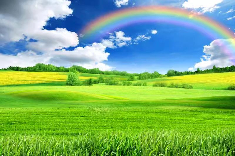 FJ0995蓝天白云草地高清晰空间延伸护眼3d立体电视墙沙发墙卧室墙,淘宝优惠券,粉丝福利购,淘宝优惠卷