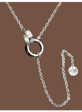 批发双环钛钢项链女2024新款轻奢小众锁骨链吊坠高级感毛衣链配饰