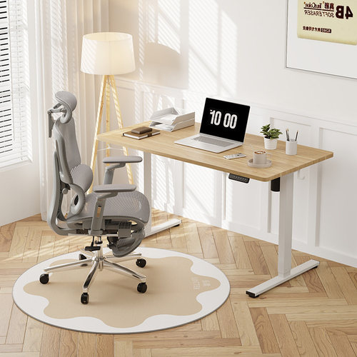 乐歌DD02地垫椅垫电脑椅垫防滑耐磨脚垫家用防滑垫简约风 - 图0