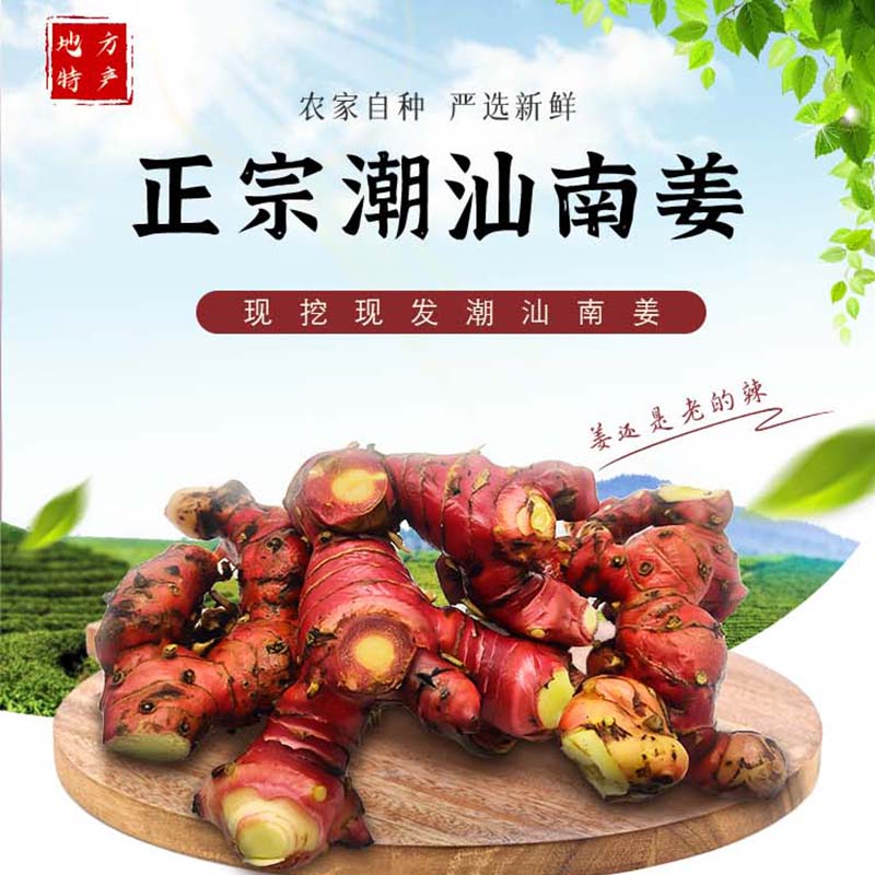 潮汕南姜 新鲜精选姜块 山姜头直发食用农产品牛羊肉去膻调味品包 - 图0