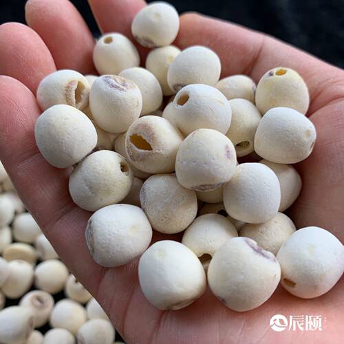 辰颐物语粉糯通芯白莲子洪湖特产白莲干货去芯无芯莲子400g包邮 - 图1