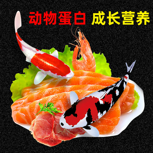 锦鲤鱼饲料色扬观赏鱼金鱼鱼食淡水鱼粮通用型冷水小颗粒不浑水 - 图3