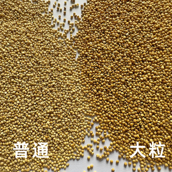 New yellow millet shelled millet tiger skin peony black phoenix small and medium parrot bird food bird food bird feed 5 pounds