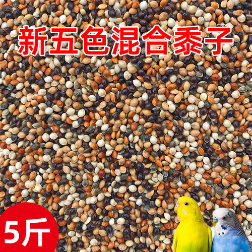 虎皮牡丹玄凤中小型鹦鹉鸟食饲料五色黍子鹦鹉混合粮谷子带壳鸟粮 - 图1