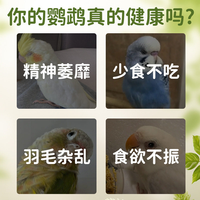 龟类营养补充剂超能电解多维 乌龟鹦鹉维生素 强健体质 促进消化,淘宝优惠券,粉丝福利购,淘宝优惠卷