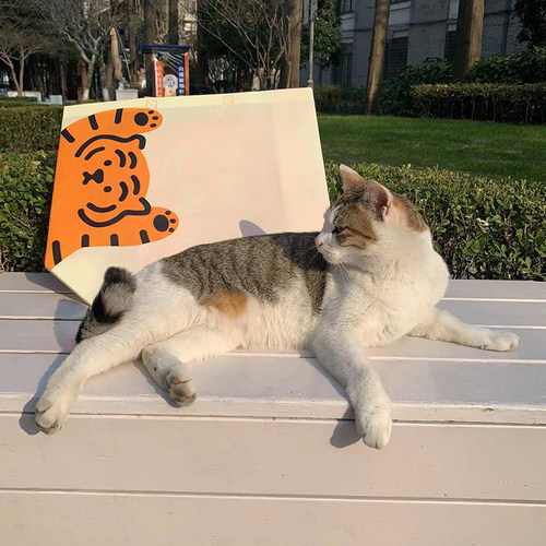 新年 新款  多款猫猫袋子 无纺布手提袋 - 图2