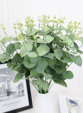 INS尤加利仿真花婚庆植物金钱叶