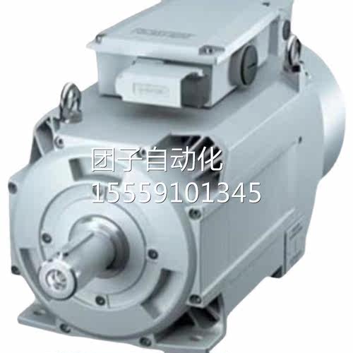 西门SIMOT子凑ICS M 紧型N异步电机1PH7224-2D03-0JA0询价 - 图3