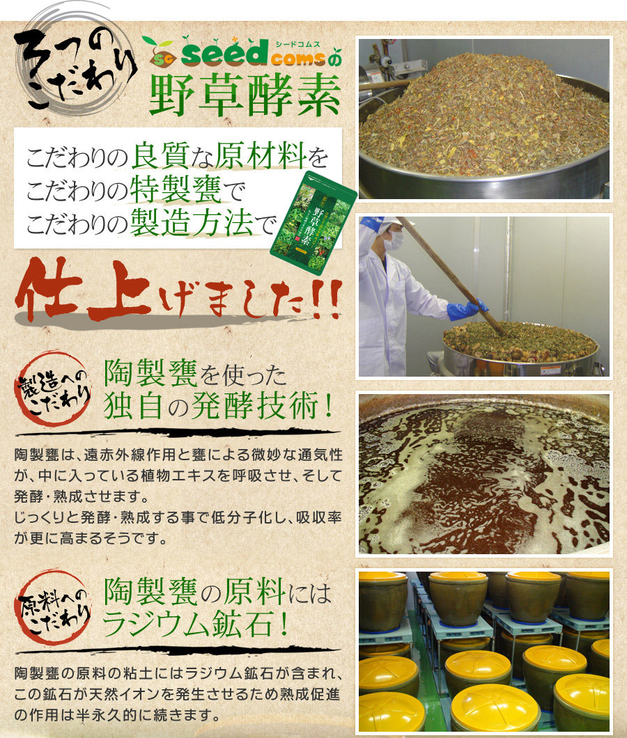 日本直邮乐天销量植物野草酵素80种蔬菜水果营养保健膳食1个月量,淘宝优惠券,粉丝福利购,淘宝优惠卷