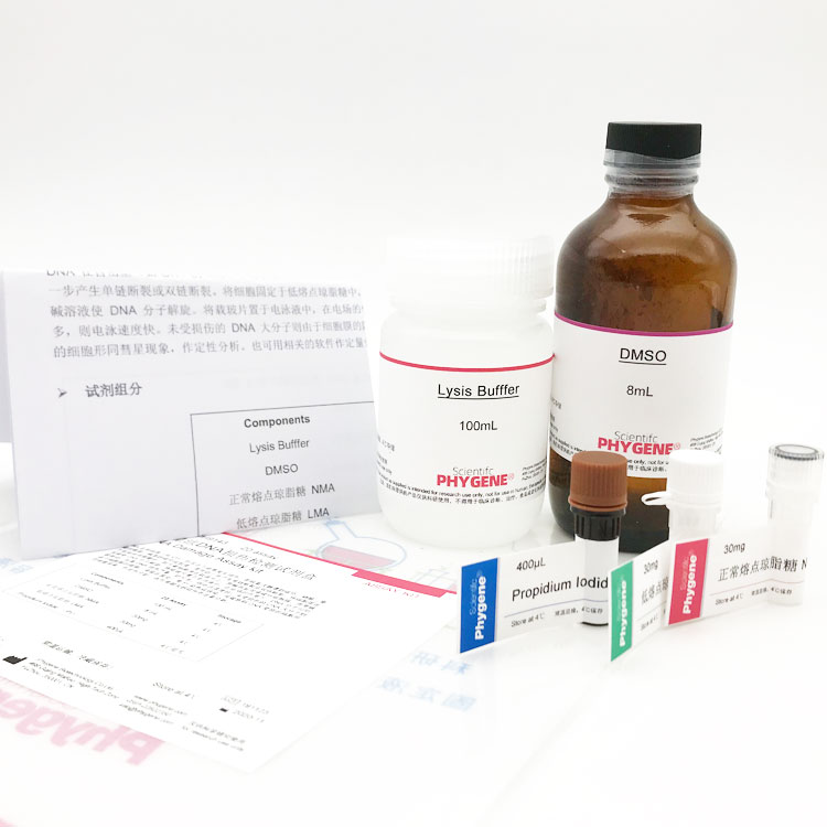 PH9143彗星法DNA损伤检测试剂盒 DNA Damage Assay kit PHYGENE-图1