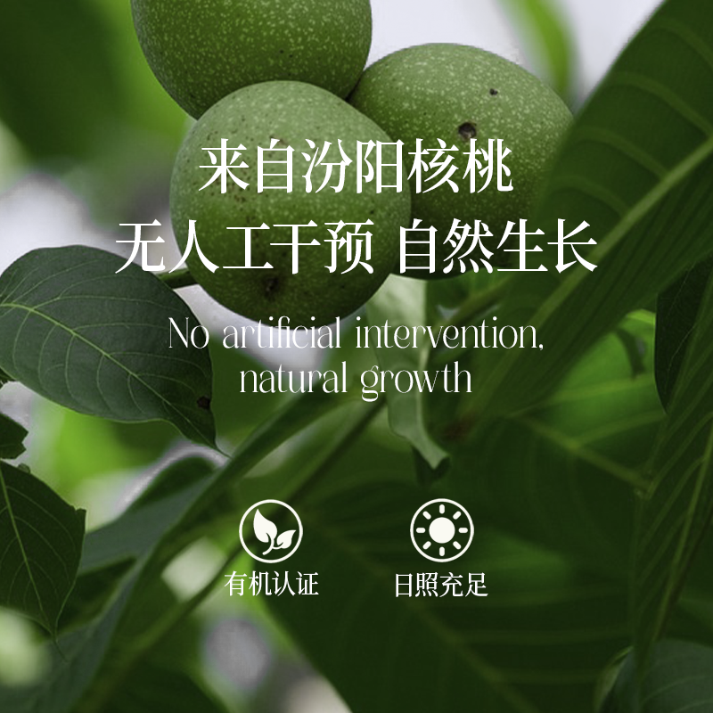 晟麦有机核桃油250ml 初榨低温冷榨物理一级食用油有机营养DHA