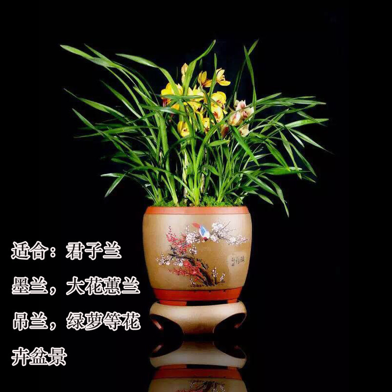 宜兴紫砂花盆陶瓷大号高档客厅惠兰君子兰专用盆精品圆形带底座 - 图1