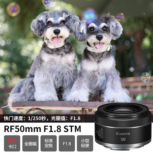 3期免息 佳能rf50mm 1.8小痰盂定焦镜头全画幅RF50人像微单镜头 - 图1