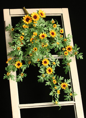 装饰遮挡挂墙绿植仿真花雏菊花