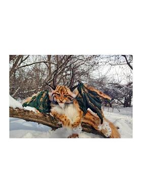 LYNX 奇幻逼真人造动物标本剥制玩具 俄罗斯手工玩偶