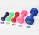 Dumbbells for women, a pair of dumbbells for home fitness, dipped in plastic