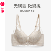 Fentem lingerie female sense lace free steel ring bra slim fit breathable micro-coaly upper tooped anti-sagging comfort bra