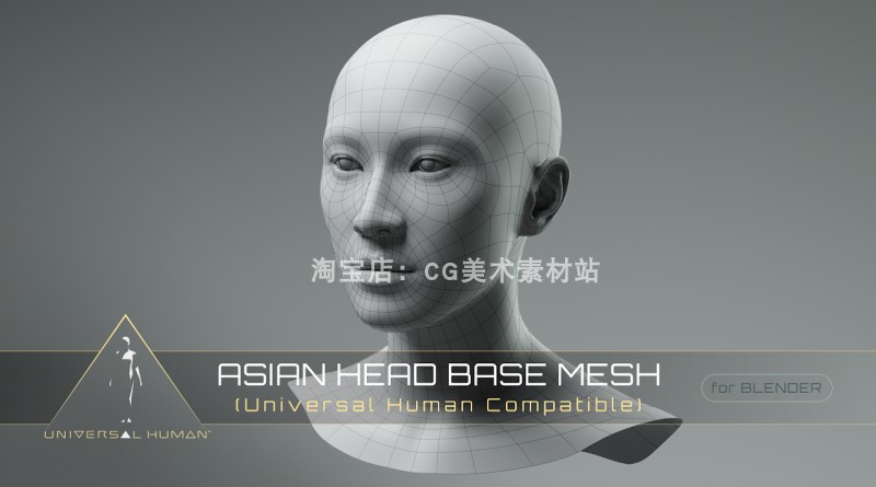 Blender亚洲人欧洲人非洲人种通用人脸人头4款3D模型素材 - 图3