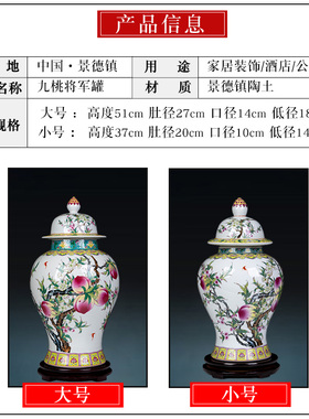 景德镇陶瓷器粉彩中式茶叶罐客厅
