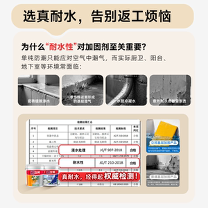 立邦云净防霉彩色内墙加固剂固沙界面剂墙固地固混凝土增强固砂宝