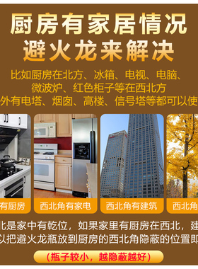 厨房在西北好物推荐黄铜避火龙瓶