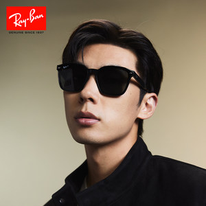 【男女同款】RayBan雷朋太阳眼镜防晒偏光墨镜0RB4392D/0RB4391D