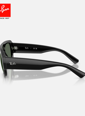 RayBan雷朋不规则醋酸纤维太阳镜