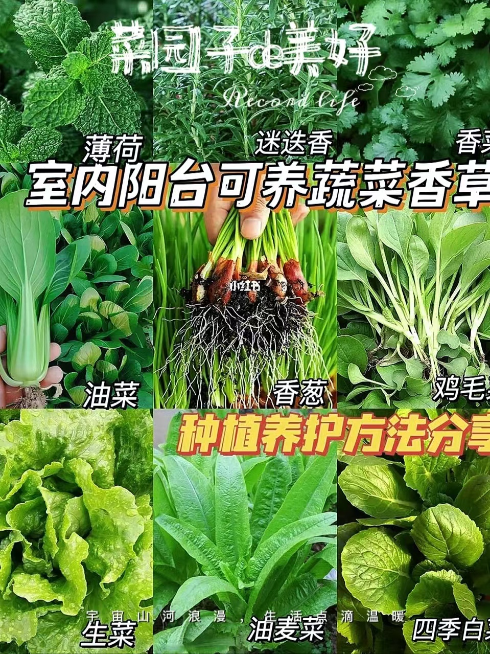 广西甘蔗糖蜜em菌发酵 环保酵素冲施滴灌 水溶肥含糖50 1.4KG包邮 - 图2